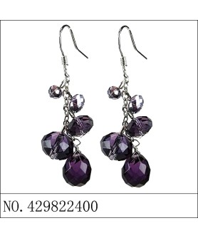 Earrings Purple