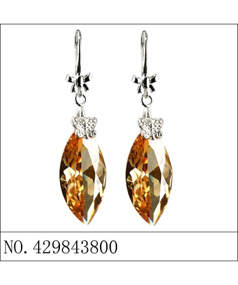 Earrings Brown