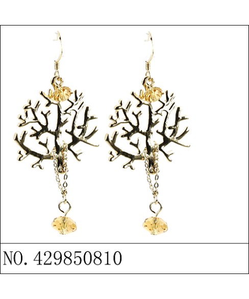 Earrings Brown