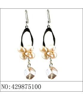 Earrings Red 429875100