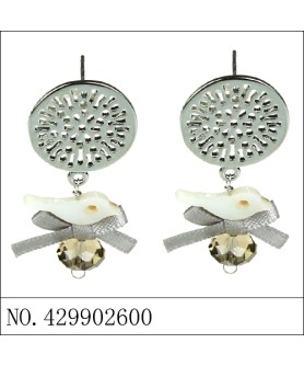 Earrings Gray