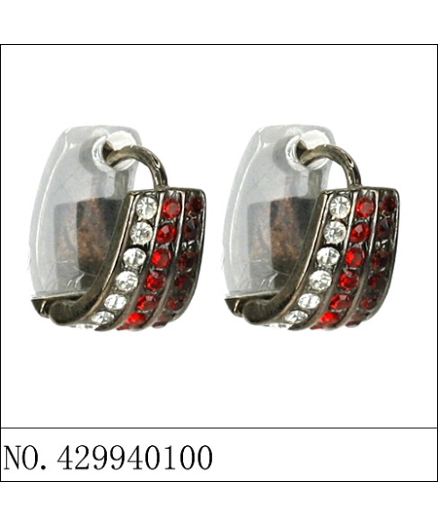 Earrings Red