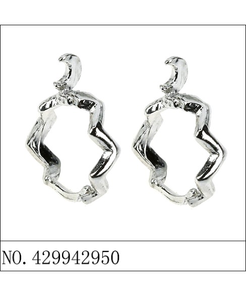 Earrings White Gold