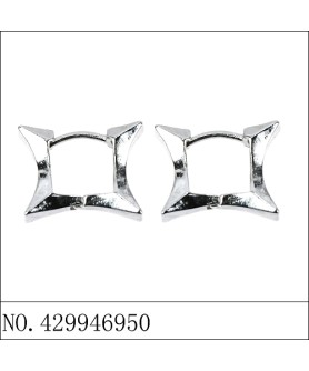 Earrings White Gold