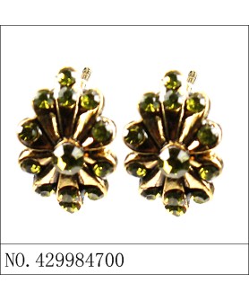 Earrings Green