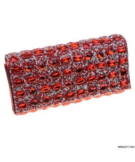 Jewelry Tone Crystal Clutch